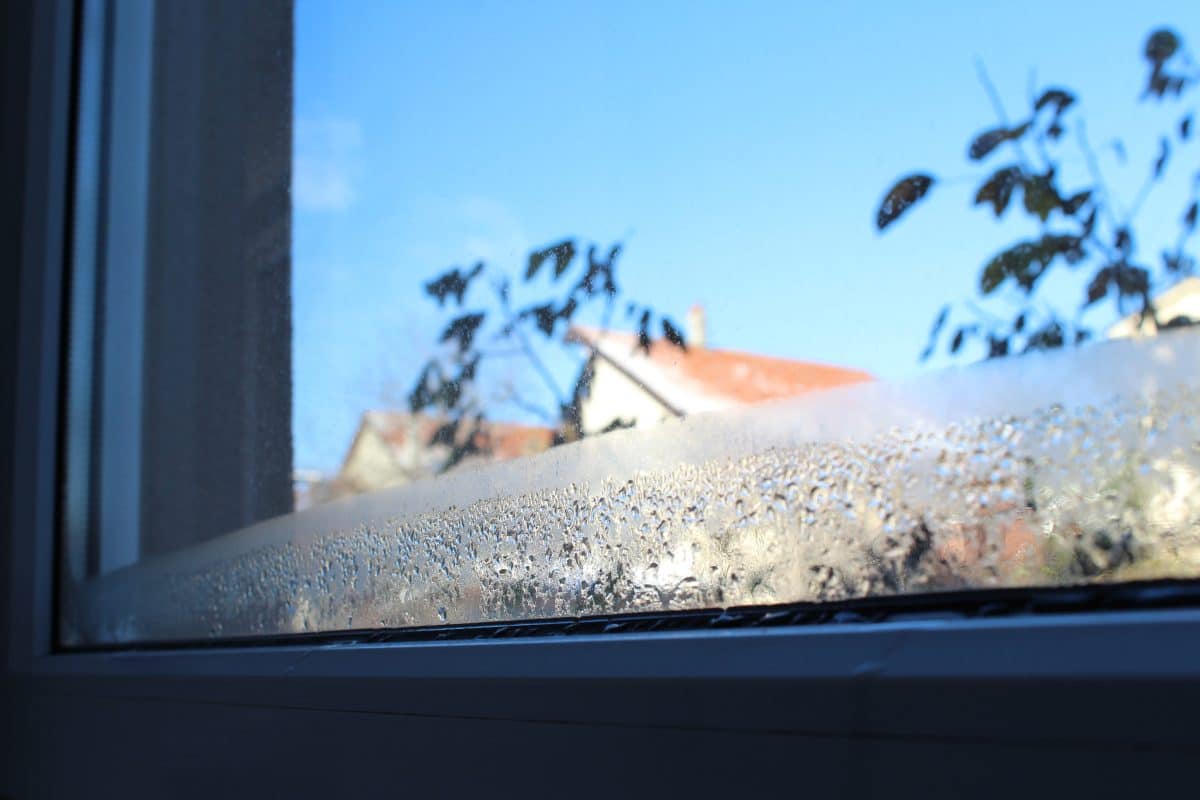 window condensation causes