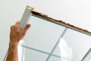 wet rot on window